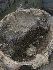biodynamie, IMG_20240410_104752