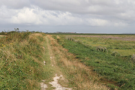 20210828 Saint-Valery-sur-Somme - Cayeux-sur-Mer, IMG_2743 La digue de la Gaîté et les Mollières