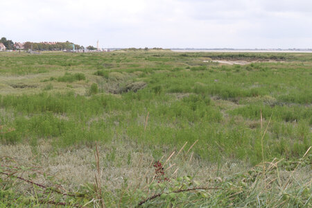 20210828 Saint-Valery-sur-Somme - Cayeux-sur-Mer, IMG_2747 Le Hourdel