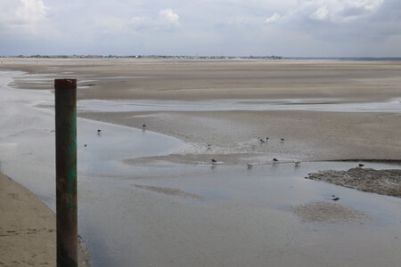 20210828 Saint-Valery-sur-Somme - Cayeux-sur-Mer, IMG_2751 La baie de Somme depuis la pointe du Hourdel
