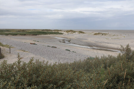20210828 Saint-Valery-sur-Somme - Cayeux-sur-Mer, IMG_2756 Les dunes entre le Hourdel et Cayeux