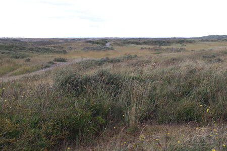 20210828 Saint-Valery-sur-Somme - Cayeux-sur-Mer, IMG_2763 Les dunes et le GR avant Cayeux