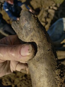 biodynamie, IMG_20240410_105433