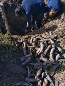 biodynamie, IMG_20240410_105532
