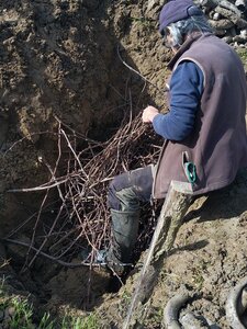 biodynamie, IMG_20240410_110442