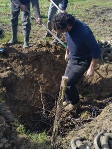 biodynamie, IMG_20240410_110709