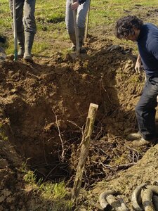 biodynamie, IMG_20240410_110711