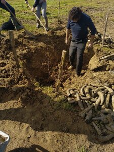 biodynamie, IMG_20240410_110746