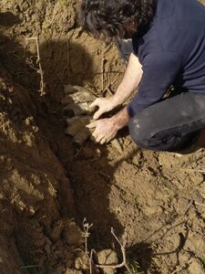 biodynamie, IMG_20240410_110846