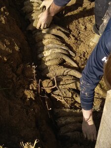 biodynamie, IMG_20240410_110935