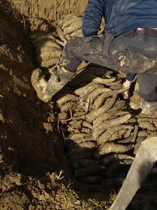 biodynamie, IMG_20240410_111423