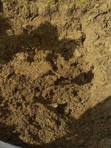 biodynamie, IMG_20240410_111539