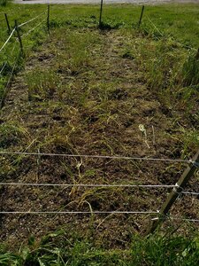 biodynamie, IMG_20240417_105649