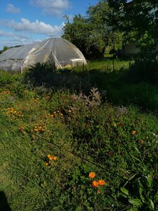 biodynamie, IMG_20240417_105700