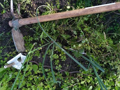 biodynamie, IMG_20240423_100939