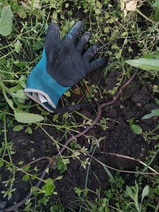 biodynamie, IMG_20240423_101129