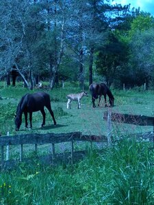 biodynamie, IMG_20240423_130705
