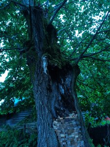 biodynamie, IMG_20240424_162901
