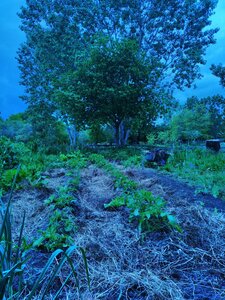 biodynamie, IMG_20240424_163241