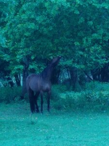 biodynamie, IMG_20240426_092224