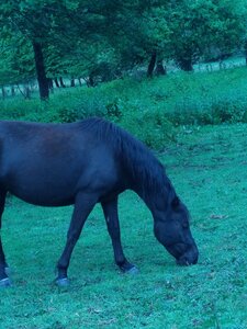 biodynamie, IMG_20240426_092259