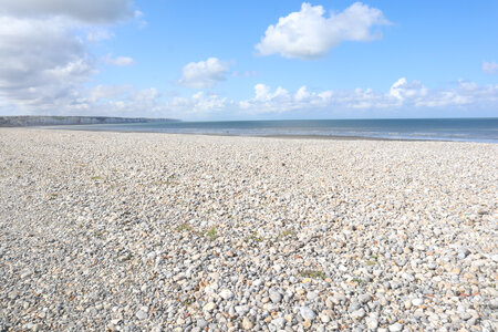 20210829 Cayeux-sur-Mer - Le-Tréport, IMG_2786 Le littoral au Marais d’Onival