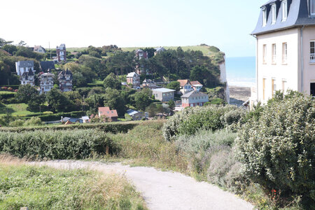 20210829 Cayeux-sur-Mer - Le-Tréport, IMG_2803 Le Bois-de-Cise