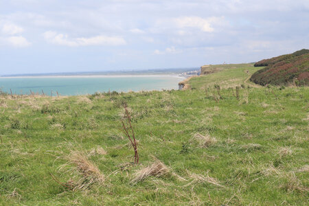 20210829 Cayeux-sur-Mer - Le-Tréport, IMG_2808 Entre le Bois-de-Cise et Mers-les-Bains