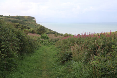 20210831 Saint-Martin-Plage - Dieppe, IMG_2908 La descente vers la valleuse du Val-du-Prêtre