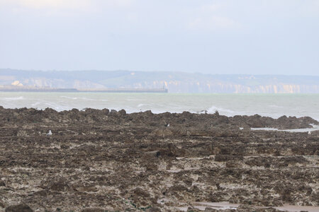 20210831 Saint-Martin-Plage - Dieppe, IMG_2914 Vue depuis la valleuse du Val-du-Prêtre (pano 3)