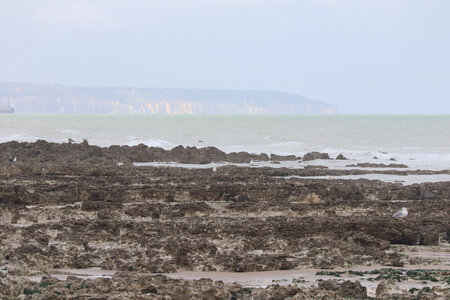 20210831 Saint-Martin-Plage - Dieppe, IMG_2915 Vue depuis la valleuse du Val-du-Prêtre (pano 4)