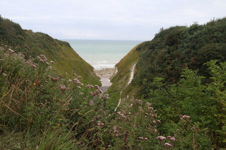 20210831 Saint-Martin-Plage - Dieppe, IMG_2916 La valleuse du Val-du-Prêtre