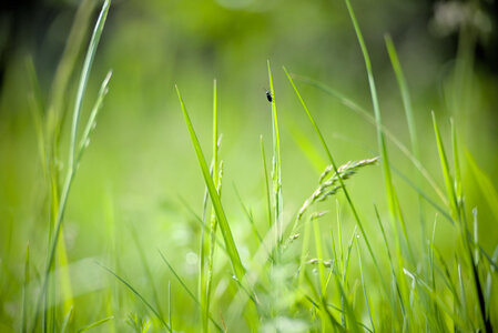 2024-05-03_proxy-jardin, 24_5_3_llp_proxy_jardin_149_