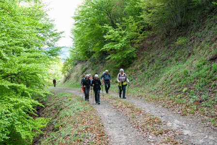 Alentours de Saint Etienne du Laux 07052024, DSC_0130