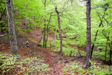 Alentours de Saint Etienne du Laux 07052024, DSC_0151