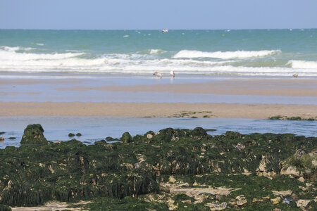 20210903 Dieppe - Quiberville, IMG_3091 Le Petit Ailly