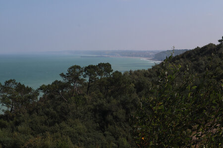 20210903 Dieppe - Quiberville, IMG_3092 Vue depuis le bois des Communes
