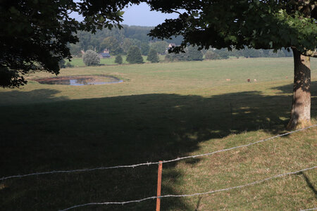 20210903 Quiberville-sur-Mer - Saint-Valery-en-Caux, IMG_3117 Flainville