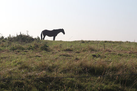 20210903 Quiberville-sur-Mer - Saint-Valery-en-Caux, IMG_3121 Epineville