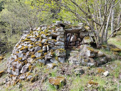 Autres orris, Orri_PB_2
