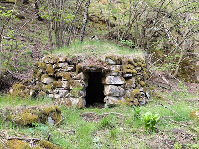 Autres orris, Orri_PB_3