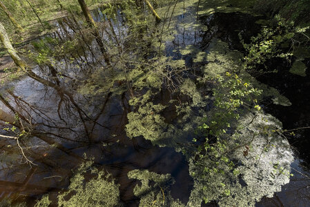 @fmbdx@piaille.fr 2024, Parc Ausone, Bruges