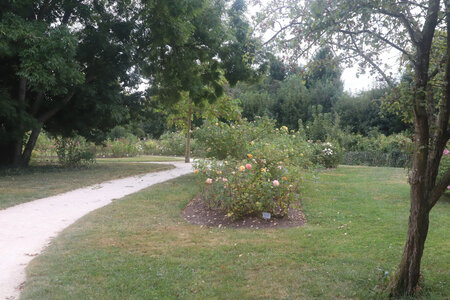 20210909 Montivilliers - Le Havre, Près du cimetière de Sanvic
