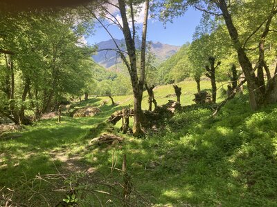 ValdAran, IMG_0628