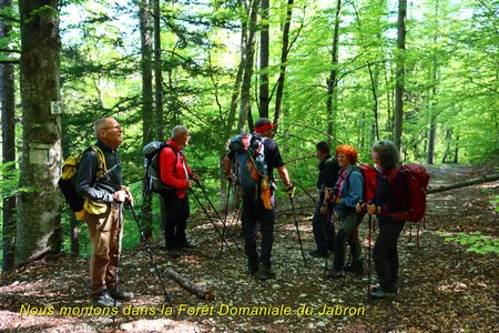 Sommet de Lure, La Montagne de Lure 002