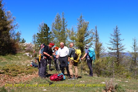 Sommet de Lure, La Montagne de Lure 005
