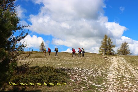 Sommet de Lure, La Montagne de Lure 008