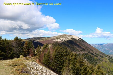 Sommet de Lure, La Montagne de Lure 012