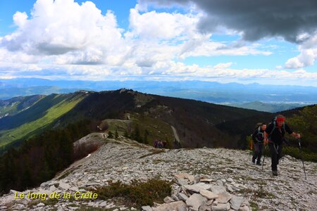 Sommet de Lure, La Montagne de Lure 016