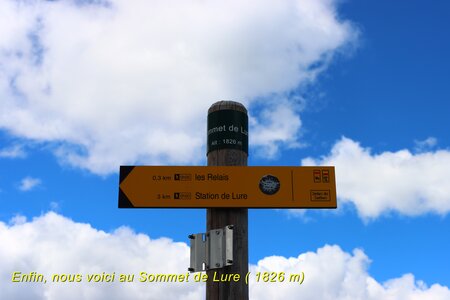 Sommet de Lure, La Montagne de Lure 023
